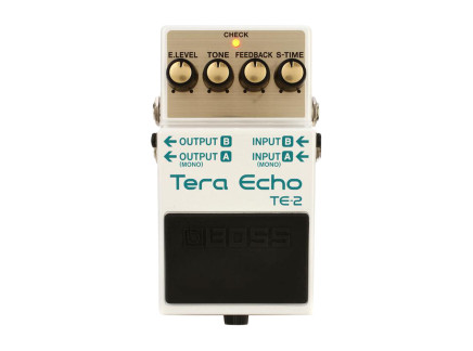 TE-2 Tera Echo Delay Pedal