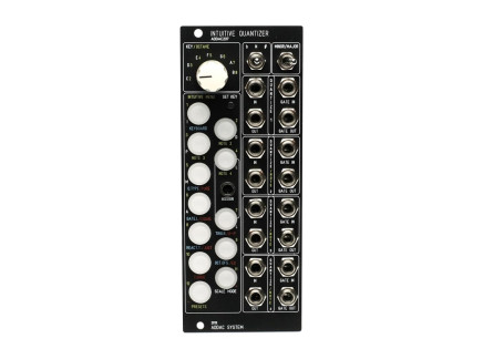 ADDAC System ADDAC207 Intuitive Quantizer (Black)